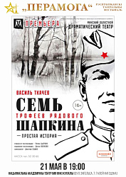 Семь трофеев рядового Шапкина (16+)