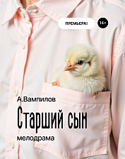 Старший сын (14+)